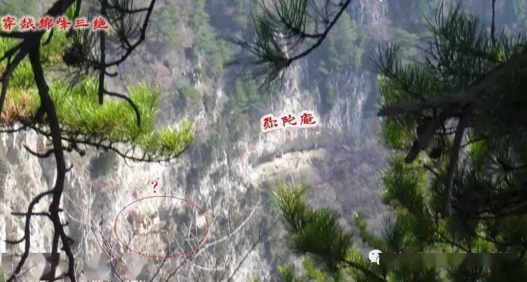 苹果visionpro开售5分钟就被挤爆