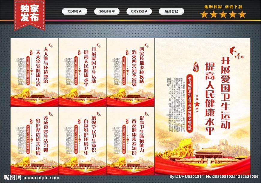 金刚鹦鹉逃生