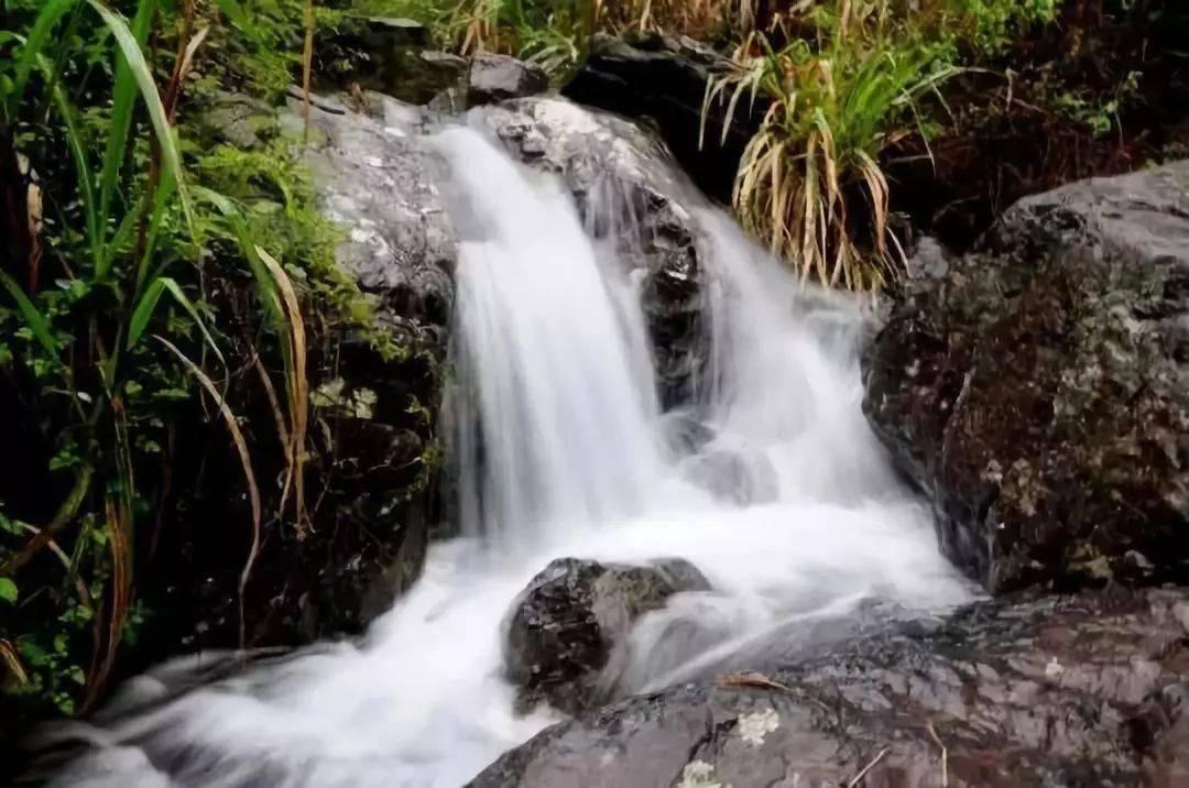 过年不打烊，中山市香山书房年味十足