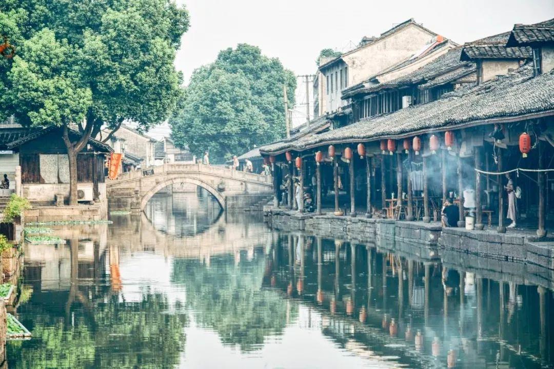 多么趣的蒲公英！(改为用问号结束句子)？游戏画面