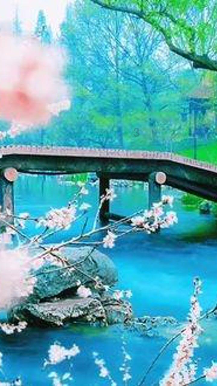 我的虚拟男友